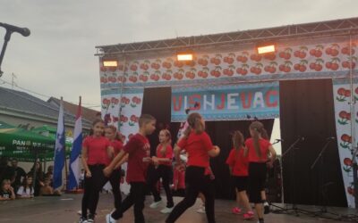 Dan Mjesnog odbora i crkveni god Župe Rođenja Blažene Djevice Marije