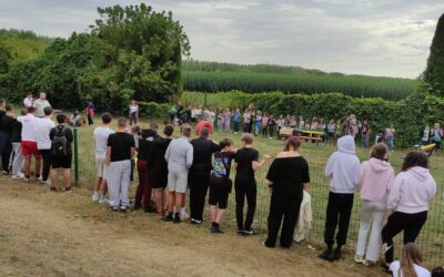 10 godina učenja i ljubavi prema šapicama